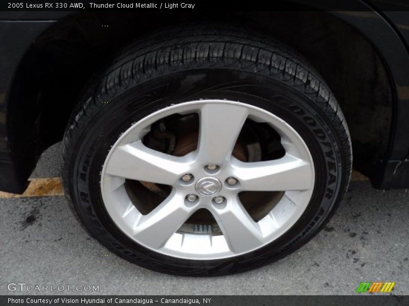 Thunder Cloud Metallic / Light Gray 2005 Lexus RX 330 AWD