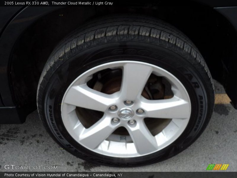 Thunder Cloud Metallic / Light Gray 2005 Lexus RX 330 AWD