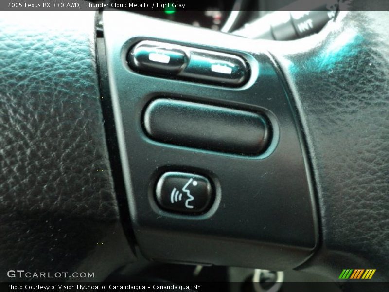 Thunder Cloud Metallic / Light Gray 2005 Lexus RX 330 AWD