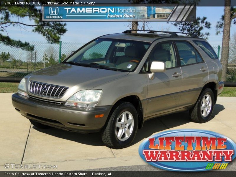 Burnished Gold Metallic / Ivory 2003 Lexus RX 300