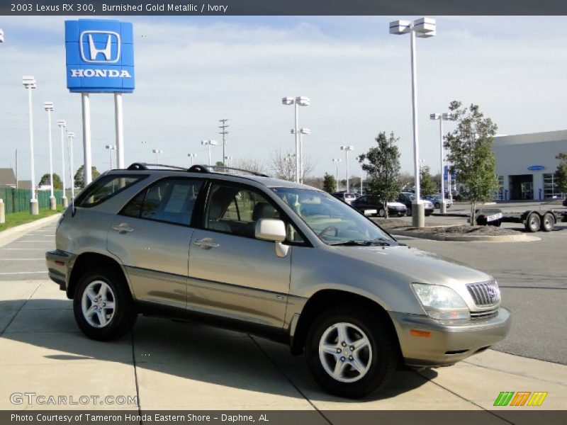 Burnished Gold Metallic / Ivory 2003 Lexus RX 300