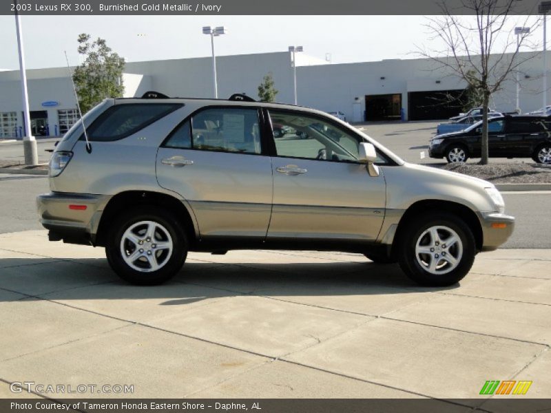 Burnished Gold Metallic / Ivory 2003 Lexus RX 300