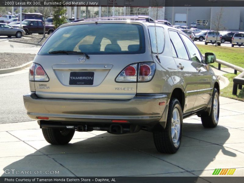 Burnished Gold Metallic / Ivory 2003 Lexus RX 300