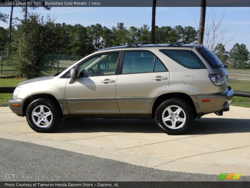 Burnished Gold Metallic / Ivory 2003 Lexus RX 300