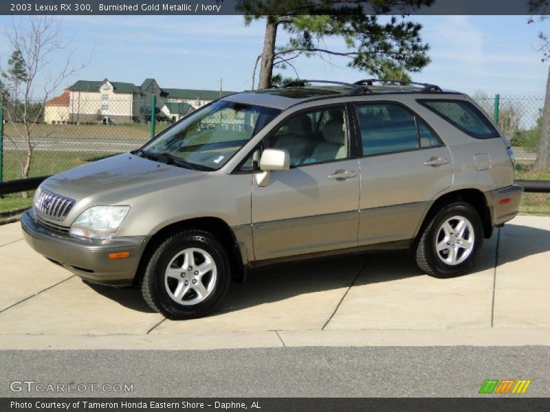 Burnished Gold Metallic / Ivory 2003 Lexus RX 300