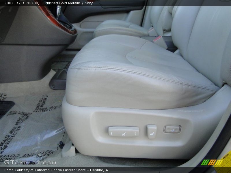 Burnished Gold Metallic / Ivory 2003 Lexus RX 300