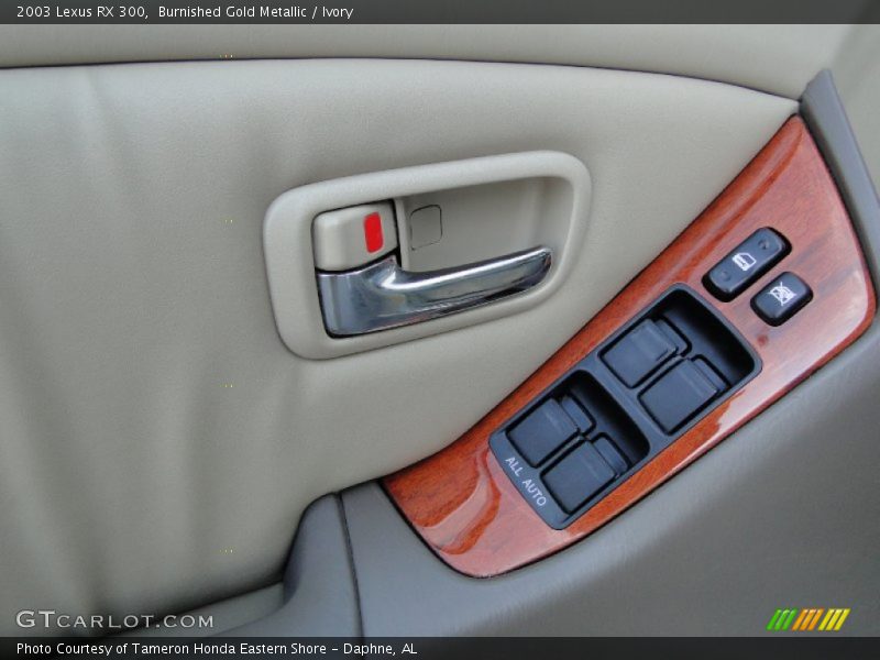 Burnished Gold Metallic / Ivory 2003 Lexus RX 300