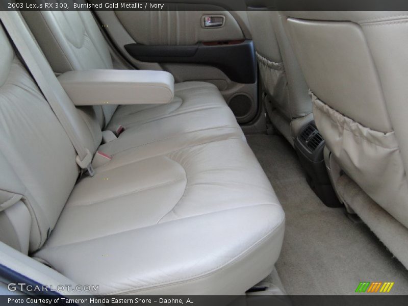 Burnished Gold Metallic / Ivory 2003 Lexus RX 300