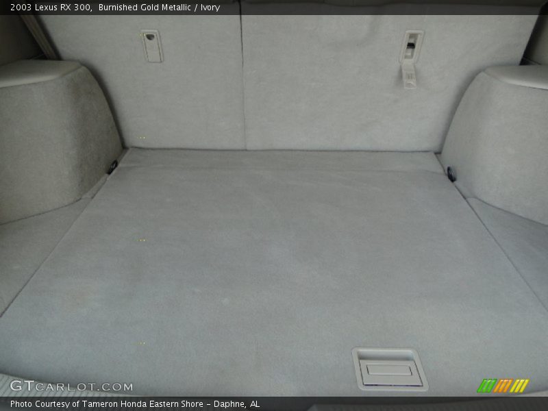 Burnished Gold Metallic / Ivory 2003 Lexus RX 300
