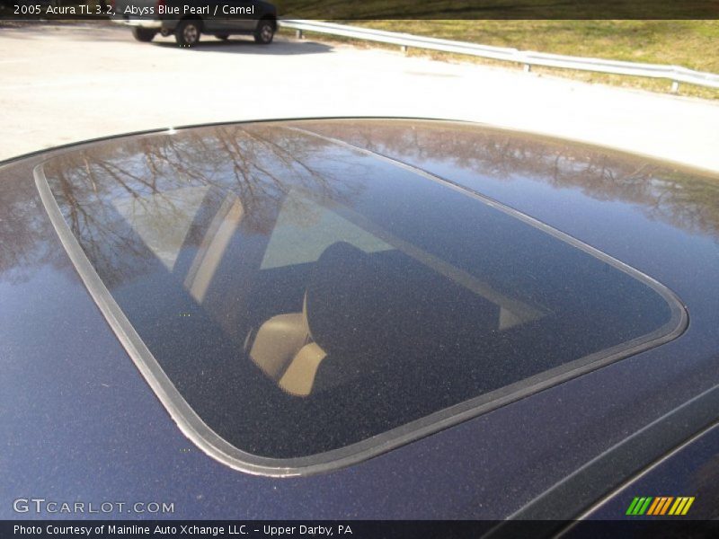 Abyss Blue Pearl / Camel 2005 Acura TL 3.2