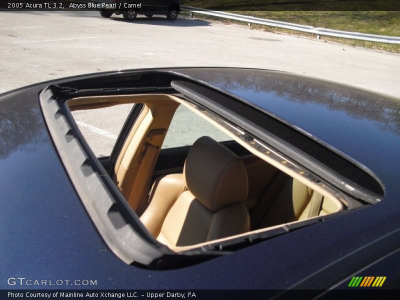 Abyss Blue Pearl / Camel 2005 Acura TL 3.2