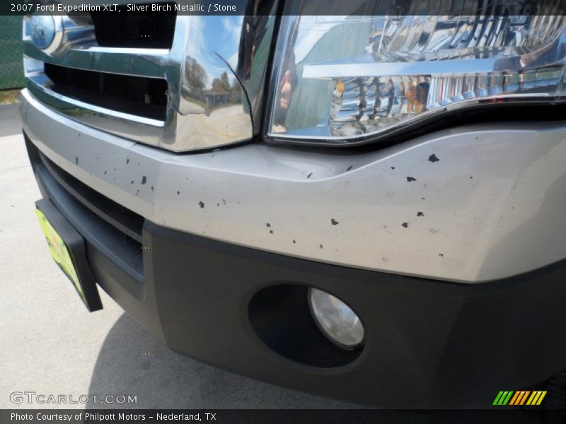 Silver Birch Metallic / Stone 2007 Ford Expedition XLT