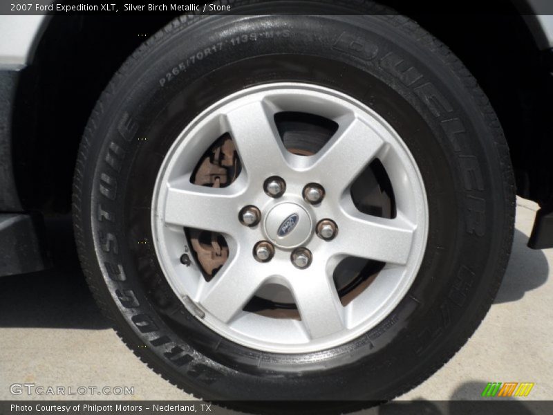 Silver Birch Metallic / Stone 2007 Ford Expedition XLT