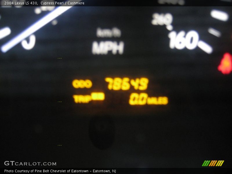 Cypress Pearl / Cashmere 2004 Lexus LS 430