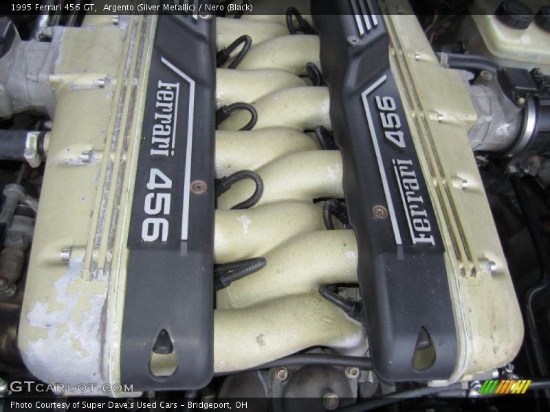  1995 456 GT Engine - 5.5 Liter DOHC 48-Valve V12