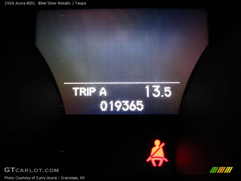 Billet Silver Metallic / Taupe 2009 Acura MDX