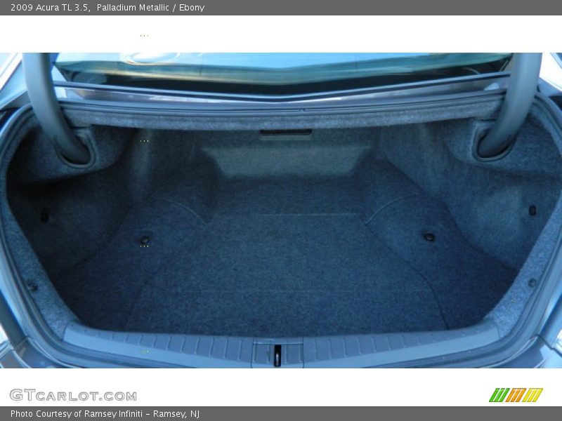 Palladium Metallic / Ebony 2009 Acura TL 3.5