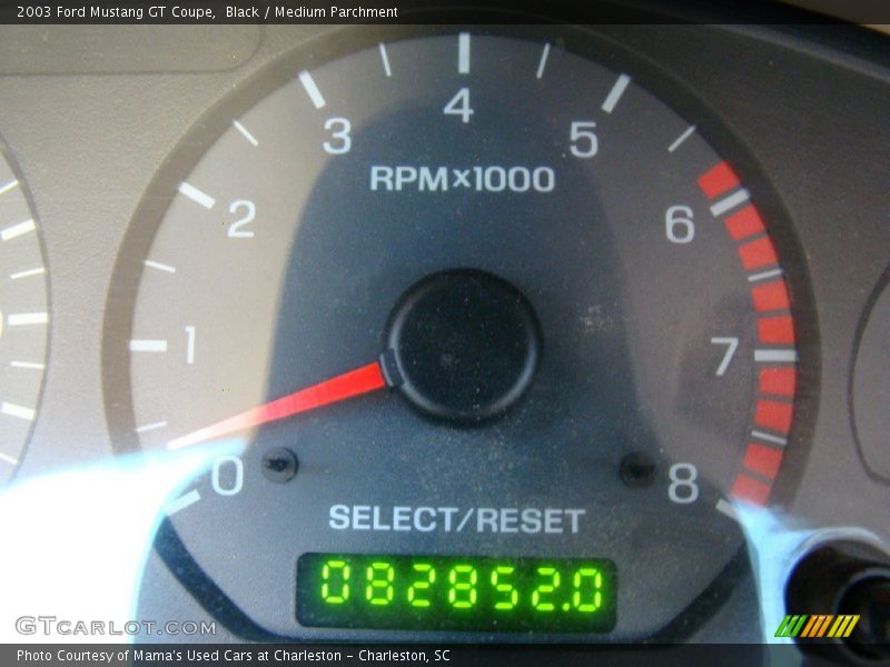 Black / Medium Parchment 2003 Ford Mustang GT Coupe