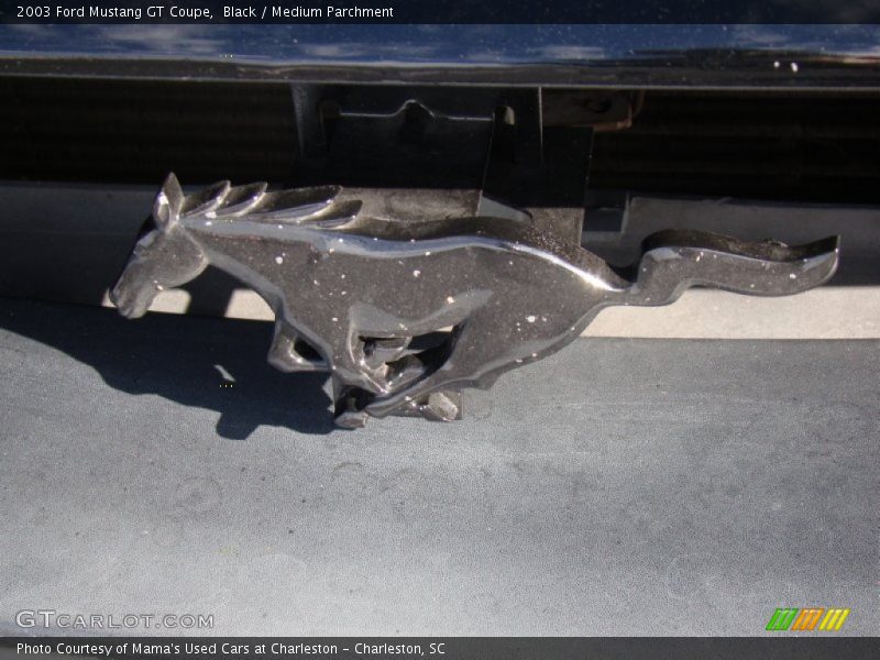 Black / Medium Parchment 2003 Ford Mustang GT Coupe