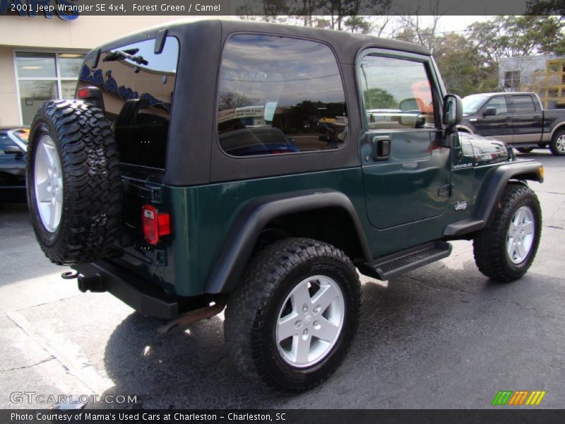 Forest Green / Camel 2001 Jeep Wrangler SE 4x4