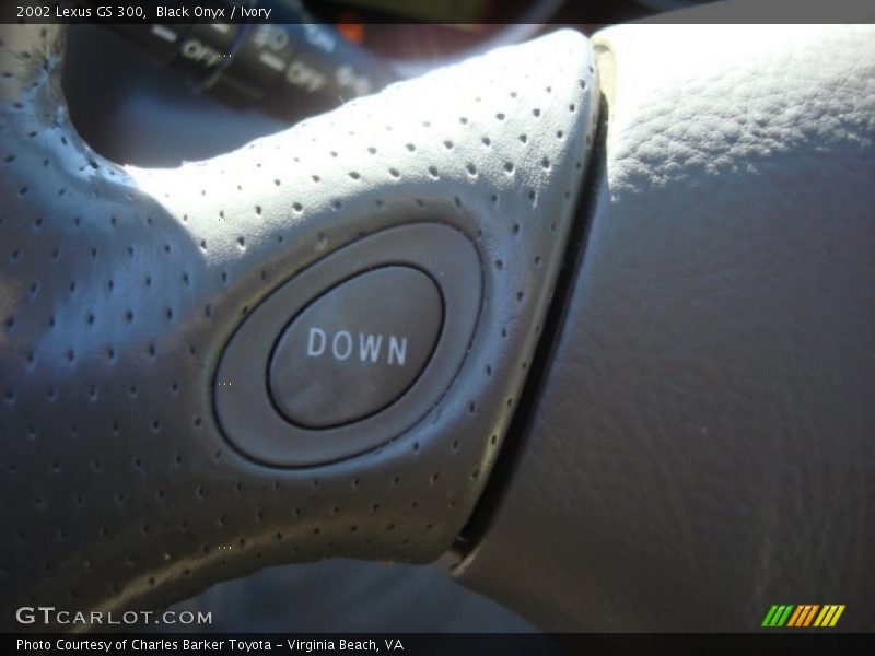 Black Onyx / Ivory 2002 Lexus GS 300
