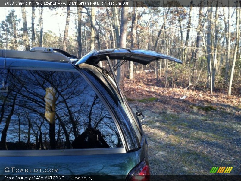 Dark Green Metallic / Medium Oak 2003 Chevrolet TrailBlazer LT 4x4