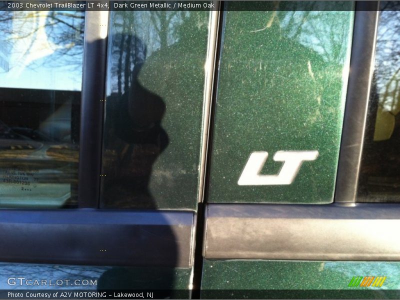 Dark Green Metallic / Medium Oak 2003 Chevrolet TrailBlazer LT 4x4