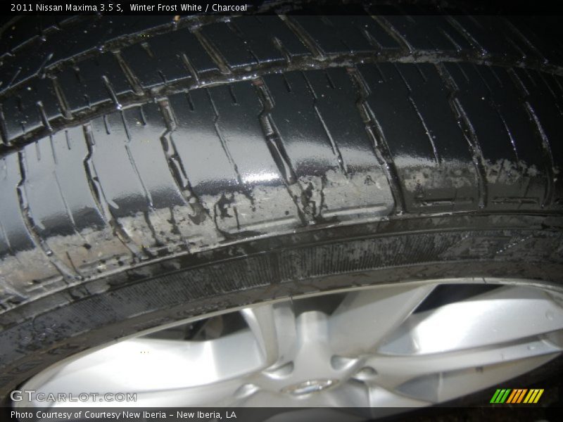 Winter Frost White / Charcoal 2011 Nissan Maxima 3.5 S