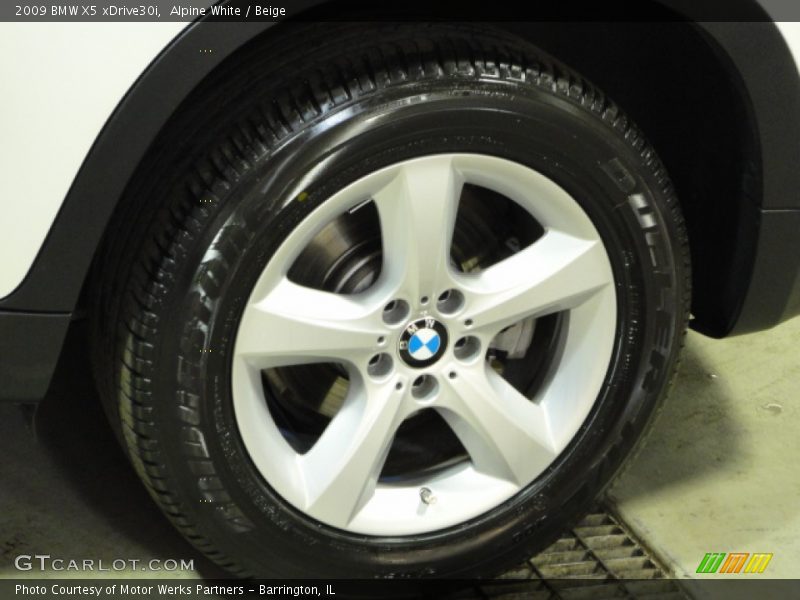 Alpine White / Beige 2009 BMW X5 xDrive30i