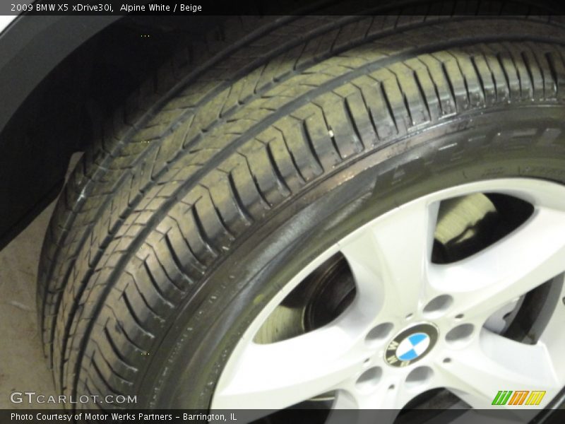 Alpine White / Beige 2009 BMW X5 xDrive30i