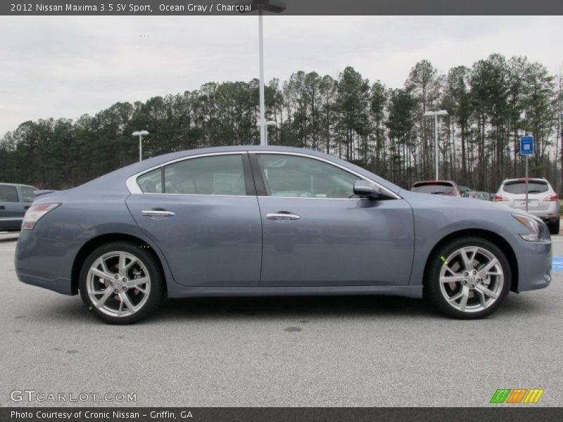 Ocean Gray / Charcoal 2012 Nissan Maxima 3.5 SV Sport