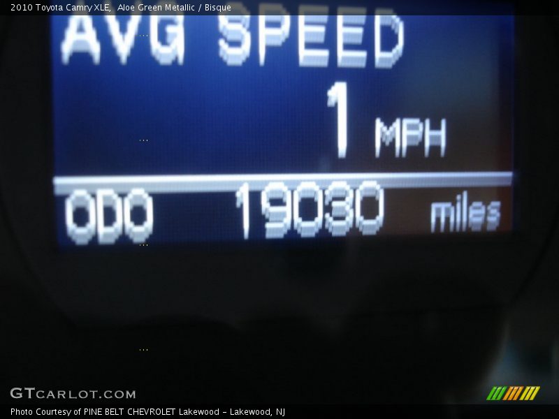 Aloe Green Metallic / Bisque 2010 Toyota Camry XLE