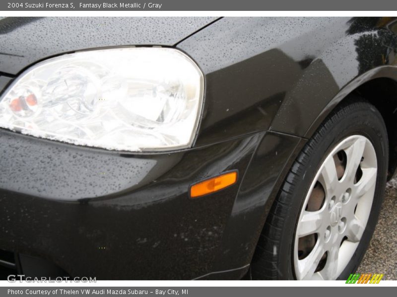 Fantasy Black Metallic / Gray 2004 Suzuki Forenza S