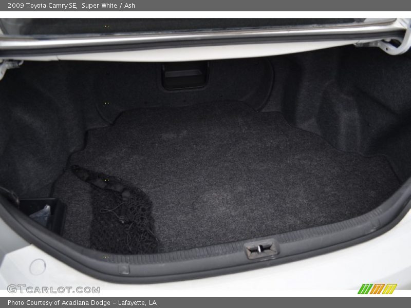 Super White / Ash 2009 Toyota Camry SE