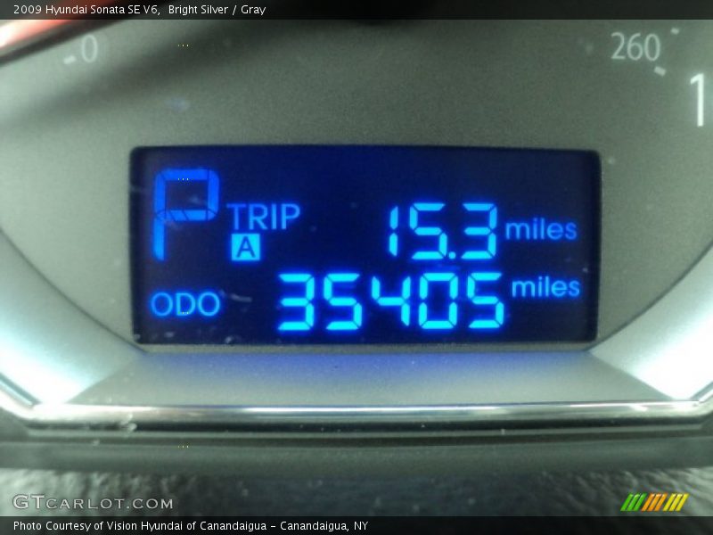 Bright Silver / Gray 2009 Hyundai Sonata SE V6
