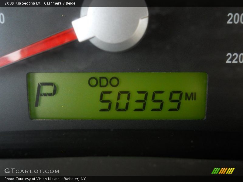Cashmere / Beige 2009 Kia Sedona LX