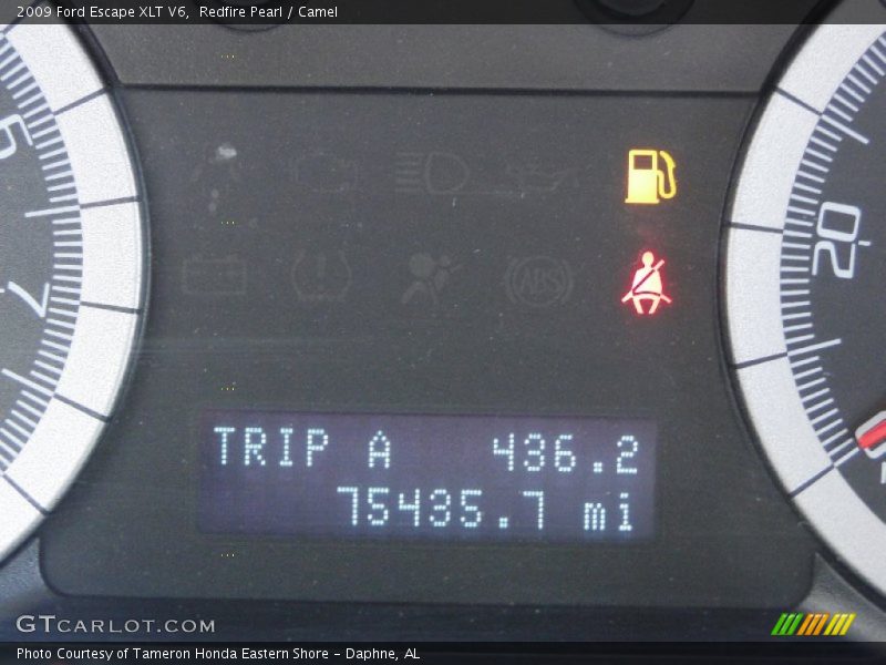 Redfire Pearl / Camel 2009 Ford Escape XLT V6