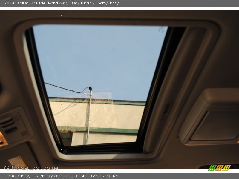 Black Raven / Ebony/Ebony 2009 Cadillac Escalade Hybrid AWD