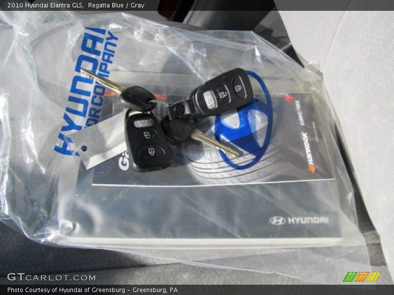 Regatta Blue / Gray 2010 Hyundai Elantra GLS