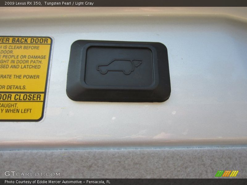Tungsten Pearl / Light Gray 2009 Lexus RX 350
