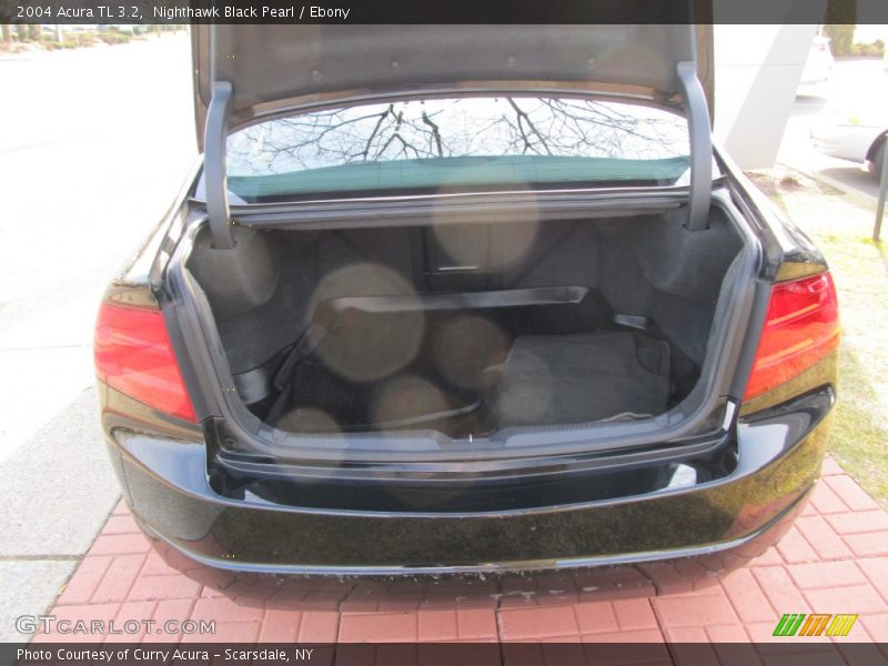 Nighthawk Black Pearl / Ebony 2004 Acura TL 3.2