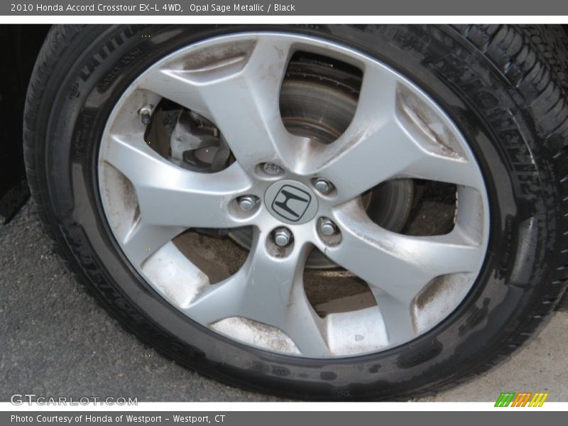 Opal Sage Metallic / Black 2010 Honda Accord Crosstour EX-L 4WD