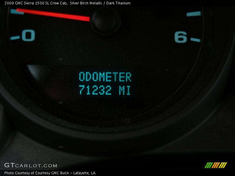 Silver Birch Metallic / Dark Titanium 2009 GMC Sierra 1500 SL Crew Cab