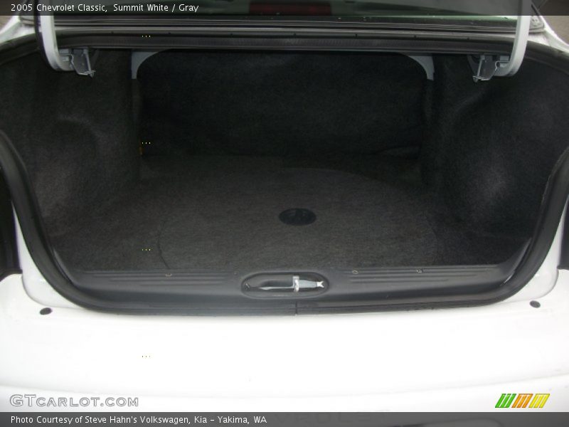 Summit White / Gray 2005 Chevrolet Classic