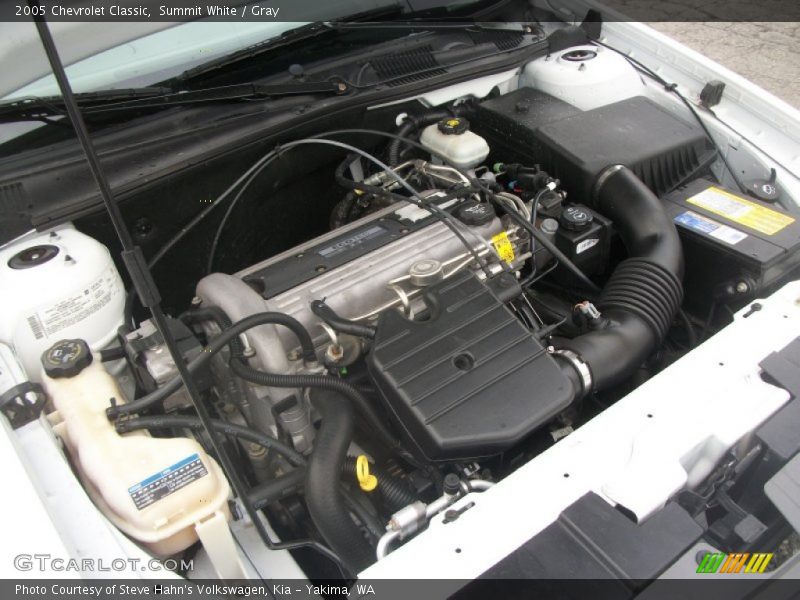Summit White / Gray 2005 Chevrolet Classic
