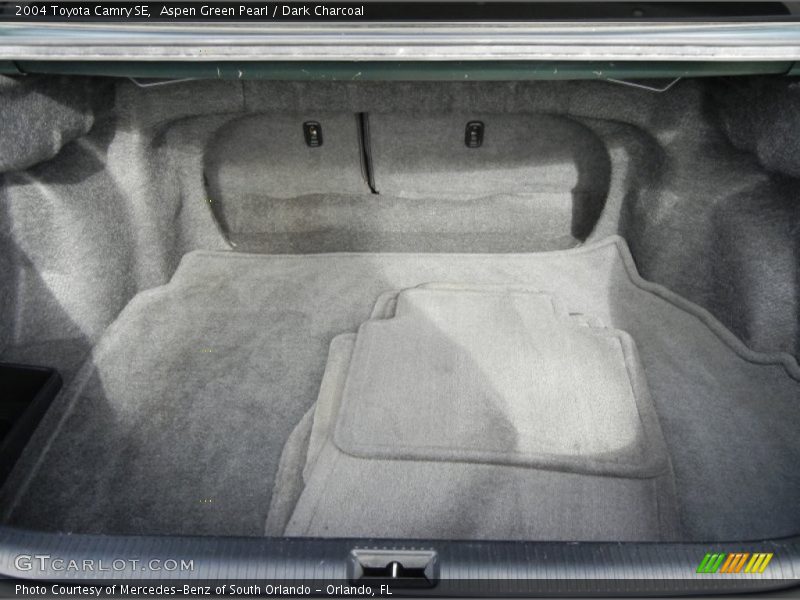 Aspen Green Pearl / Dark Charcoal 2004 Toyota Camry SE