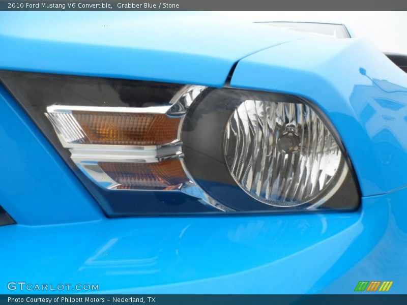 Color Sample of 2010 Mustang V6 Convertible