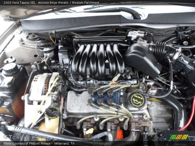 Arizona Beige Metallic / Medium Parchment 2003 Ford Taurus SES