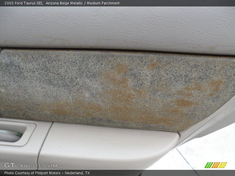 Arizona Beige Metallic / Medium Parchment 2003 Ford Taurus SES