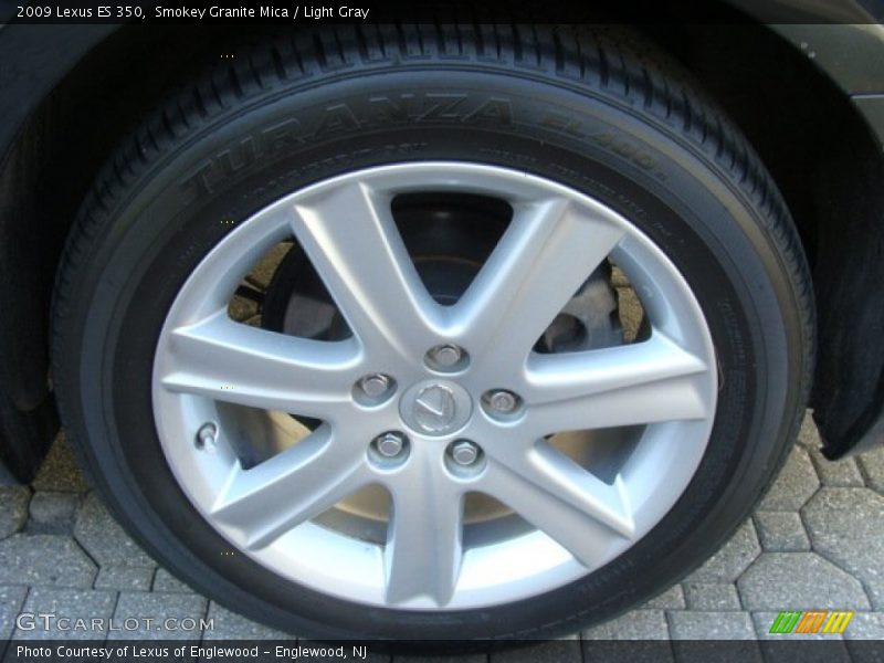 Smokey Granite Mica / Light Gray 2009 Lexus ES 350